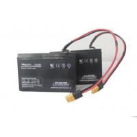 CARP ROYAL BLEI SET BATTERIES