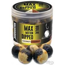 HALDORADO MAX MOTION BOILIE IN DIP 20MM