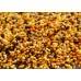 HALDORADO FERMENTX N-BUTYRICK MICRO SEEDS 400G