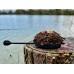 HALDORADO MONSTER PELLET BOX 400G+100ML