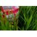 MZCB CARP XTREME AMUR SPECIAL 1KG