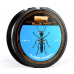 PB PRODUCTS BLUE ANT FLUORO CARBON 28LB 50M