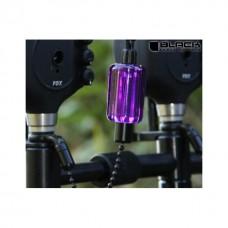 FOX BLACK LABEL FAT HEAD CONVERTOR