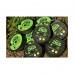 KORDA READY ZIGS 8LB KCR062