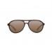 KORDA AVIATOR TORTOISE FRAME/BROWN K4D04